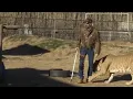 Tiger King Joe Exotic attacked by tiger