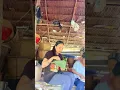 Download Lagu Gadis Dayak memasak dan makan di gubuk pertanian di perbukitan hutan Kalimantan bagian 2