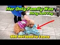 Download Lagu She Waited For Her Owner, Hugging A Toy . Her Loyalty Will Break Your Heart And Heal It 