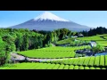 Download Lagu FUJIYAMA - Pop Mandarin Indonesia