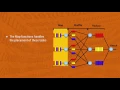 Wiley s Working with mapReduce M1S5L1