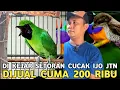 Lagu DI KEJAR SETORAN CUCAK IJO JTN BURUNG GACORAN DIJUAL 200 RIBU DI KIOS MANTO  PASAR BURUNG PRAMUKA