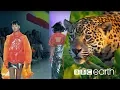 Download Lagu Can Fashion Be Sustainable? | BBC Earth