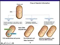 Ch 8 Microbial Genetics Part 1