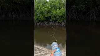 Water Bottle Catches Big Fish