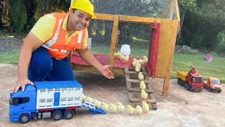 Trator, Caminhão e Ferramentas construí casinha para os pintinhos, aprendizagem para crianças! MOOPI