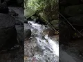 Download Lagu Air Jernih Yang Mengalir di Sela-sela Batu Suaranya Merdu
