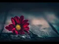 Beni Unutma Fon Müziği