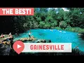 Best Things to Do in Gainesville FL