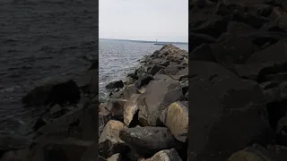 عدنان دلبرين دارم دارم 