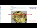 Detection Of Plant Disease Using Image Processing With Source Code Python Project Leaf DiseaseDetect