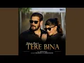 Tere Bina