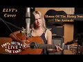 House Of The Rising Sun - The Animals (Cover by ELVI) | Live Guitar One-Take