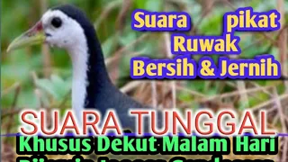 Download Suara Tunggal Pikat Ruak Ruak Paling Ampuh #masterpikat #suararuaktunggal #pikatruakruak MP3