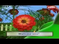 Lagu Marigold Rhyme | 3D Nursery Rhymes With Lyrics For Kids | Flower Rhymes | 3D Rhymes Animation