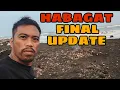 Download Lagu HABAGAT | REVENUE and TOTAL VIEWS | FINAL UPDATE