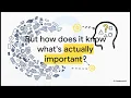 Formal Concept Analysis and Basic Level Concepts