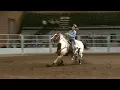 4H Horse Show