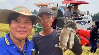 Theo Máy Cắt Bắt Chuột! Cười Xỉu Với Ông Chú Sashimi Chuột Đồng. | Trường QN 