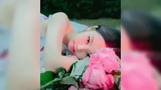 solo jennie