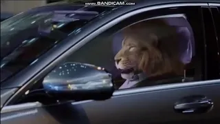 When the Nip Kicks In