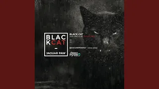 black cat original mix 