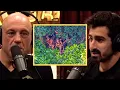 Uncontacted Tribes Didn t Scare Me Until I Learned This Joe Rogan
