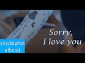 Download Lagu Stray Kids - Sorry, I Love You FMV 좋아해서 미안