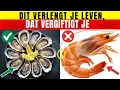 Download Lagu Ben je ouder dan 60? Hier zijn 4 zeevruchten om te vermijden en 4 die goed zijn voor je gezondheid.