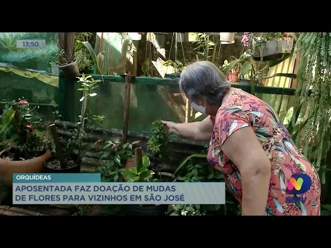 Aposentada faz doação de mudas de flores para vizinhos em São José