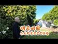 Lagu 明天飞机回国，今天带爸去尝尝韩餐（新西兰 Harold Vlog 950）