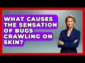 What Causes The Sensation Of Bugs Crawling On Skin - Schizophrenia Support Network
