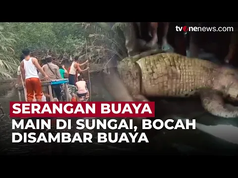 Ngeri! Asyik Bermain Pinggir Sungai Bocah di Riau Diterkam Buaya di Sungai Kubu