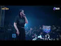 Download Lagu NEW PALLAPA | TKW | LUSI RULISTA | AN PROMOSINDO