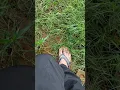 Download Lagu #farming #song #gaam #farmer #lovesongs