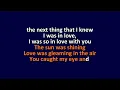 Stevie B - Spring Love - Karaoke Instrumental Lyrics - ObsKure
