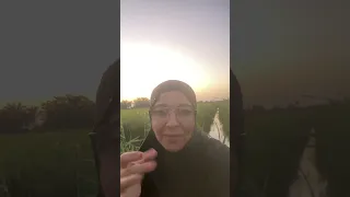 موقف يبين مدى لطف الله وتدبيره أنت بس ارفع إيدك وقل يا رب 