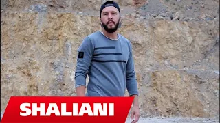 Download SHALIANI - Eh moj Kosovë (OFFICIAL MUSIC VIDEO) MP3