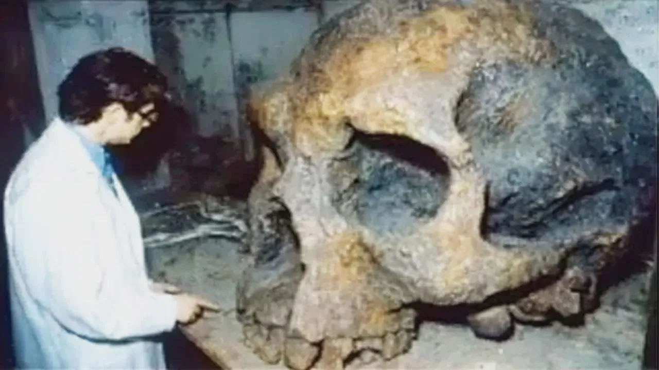 Discoveries That Made Scientists Rethink History