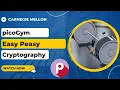 picoGym picoCTF Exercise Easy Peasy