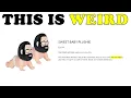 Matt Walsh Is Selling A Creepy Baby Plushie Of Himself