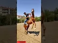 Download Lagu WhatsApp Horse Status