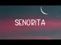 Senorita - DJ Noiz ft. Kennyon Brown, Donell Lewis, Konecs (Lyric Video)