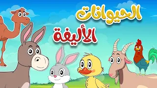 أنشودة الحيوانات الأليفة 2 أناشيد وأغاني أطفال باللغة العربية  أنشودة الحيوانات الأليفة 2 أناشيد وأغاني أطفال باللغة العربية