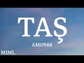 Amo988 - Taş (Lyrics/Sözleri)(مترجمه)