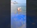 Download Lagu nude open boobs pussy bathing .....