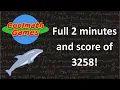 Coolmath Games - Dolphin Olympics Full Gameplay Walkthrough