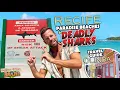 Recife Paradise city - deadly shark attacks PERFECT WEEKEND TRAVEL GUIDE beaches safety