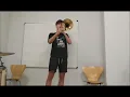 Miquel Amador Sunflower Post Malone Trombone Cover