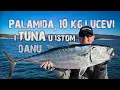 Lagu PALAMIDA, 10 kila LUCEVI i C/R TUNA u istom DANU!!!